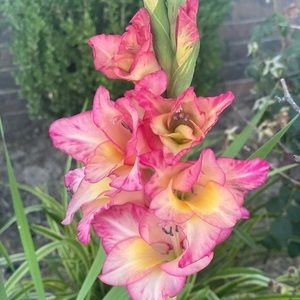 Meet your Posher, Kelli